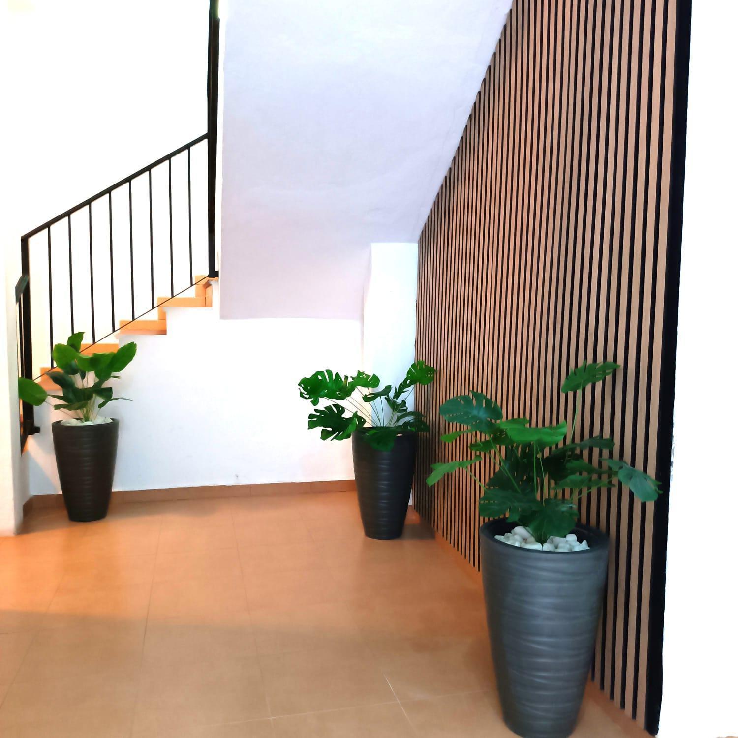 Apartamentos Duende มาลากา ภายนอก รูปภาพ